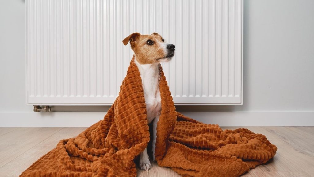 How to Wash Heated Blankets in Washing Machine